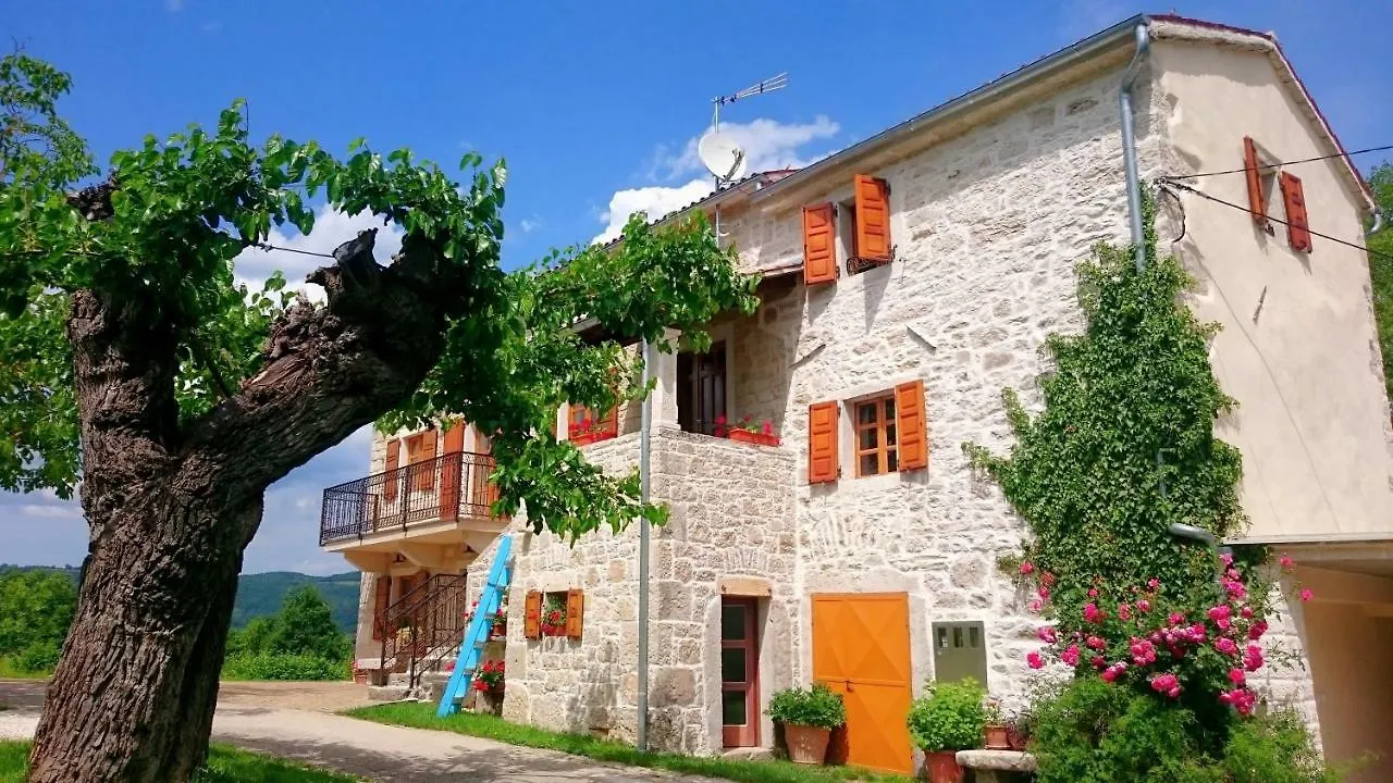 Villa Angela E Giovanni Vižinada 0*,